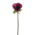 Olivia Anemone Stem Burgundy 38Cm