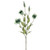 Olivia Lisianthus Spray Green 78Cm