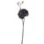 Dogwood Rose Spray Grey 48Cm Hqn