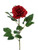 Premium Rose Medium Red