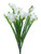 Freesia Bush X12 Cream