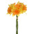 Daffodil Bundle Yellow Orange