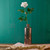 Premium Rose Medium White