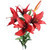 King Lily Red