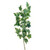 Ivy Large Leaf Variegated Stem