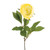 Peony Stem Yellow