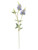 Physostegia Spray Blue 63Cm
