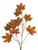 Maple Leaf Spray Amber 71Cm