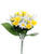 Flora Daff/Daisy Bush Wht/Yel