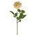 QUEEN ROSE SINGLE STEM YELLOW 70CM