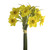 DAFFODIL BUNDLE YELLOW 25CM