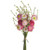 STRAWFLOWER BUNDLE PINK 40CM