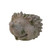 Hedgehog pot 24.5cm