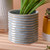 Ribbed Pot Blue Wash 13cm