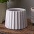 White Stripe Ceramic Pot 10cm