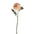 SORBET RANUNCULUS STEM PEACH 44CM