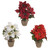 Potted Poinsetta Burlap Pot Red/Dark Red/Ivory 36cm