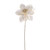 Poinsettia Single Cream 63Cm