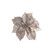 Poinsettia With Clip Champagne 17Cm
