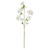 Essential Apple Tree Blossom - White