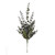 Prestige Eucalyptus Spray