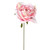 Wired Open Rose Pink X48 Box