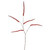 Amaranthus Spray Red 101Cm