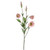 Lisianthus Spray X5 Pink