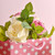 Bundle Rose Pink Cream Astd Heads