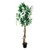 Potted Wisteria Tree Crm 152Cm