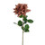 Amelia Rose Stem Russet 68Cm