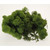 500g Olive Green Reindeer Moss