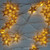 Large Star Lights Box of 40