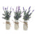 Decorative Lavender With Glass Bottle 3Ast