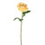 Fiesta Rose Yellow 47Cm