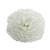 Essential Carnation Pick White-Box of 144