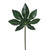 Foam Leaf Aralia X4 2Lg 2Sm