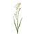 Freesia Spray 2 Heads Cream