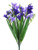 Freesia Bush X12 Lav/Purple