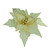 Christmas Flower Gold D46x52cm