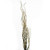 Twisted Willow 1-1.5Metres Nat