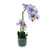 Potted Orchid Purple 55cm
