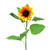 Sunflower Sarah Golden Yellow