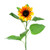 Sunflower Sarah Golden Yellow