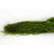 Raffia Long Apple 500G