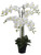 90cm Orchid Pot Cream