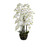 137cm Orchid w/Base Cream