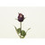 28"Purple Brilliant Rose Bud