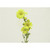 78.5cm Gerbera Spray Dark Yellow