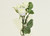 37cm Rose x5 Spray Cream